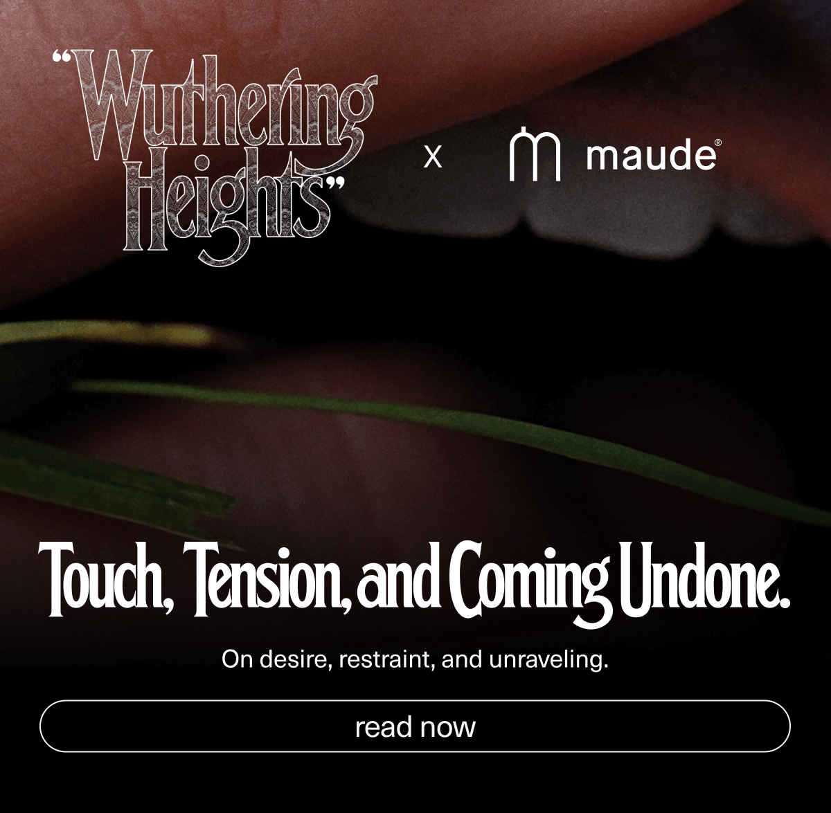 "Wuthering Heights " x Maude | Touch, Tension, and Coming Undone. | On desire, restraint, and unraveling. | [ read now ]
