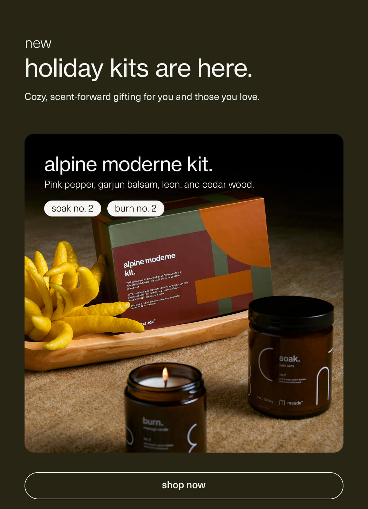new | holiday kits are here. | Cozy, scent-forward gifting for you and those you love. | alpine moderne kit. | Pink pepper, garjun balsam, leon, and cedar wood. | soak no. 2 | burn no. 2 | [ shop now ]