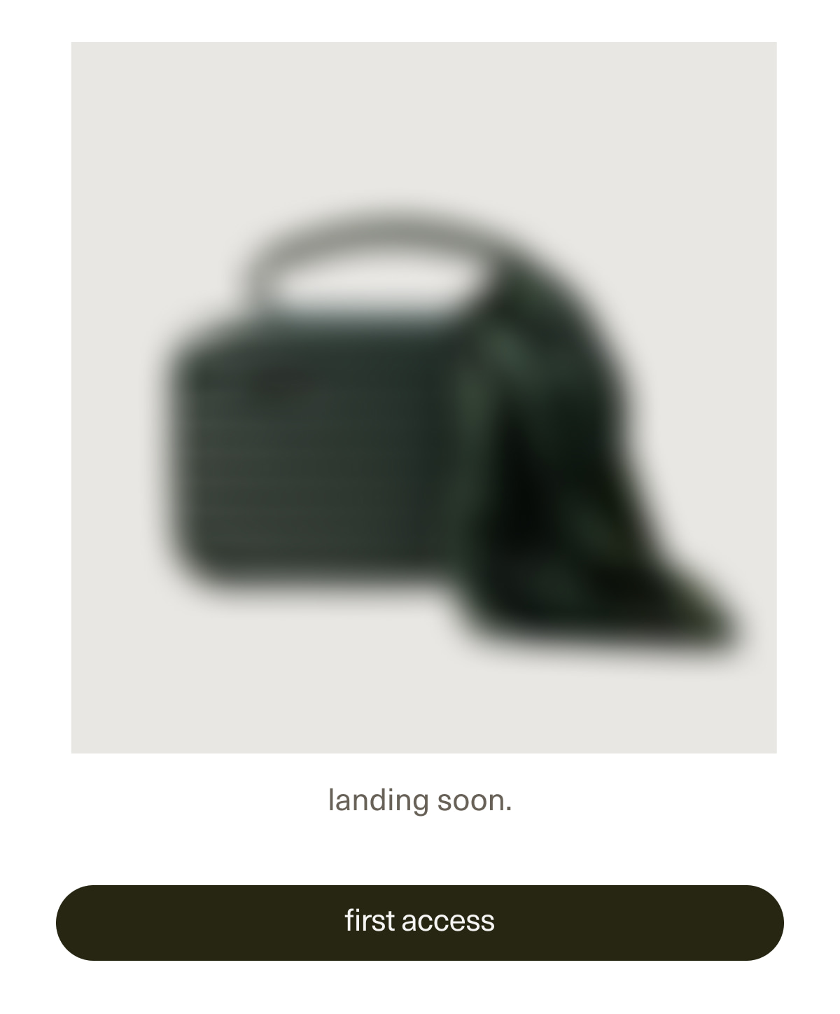 landing soon. | [ first access ]