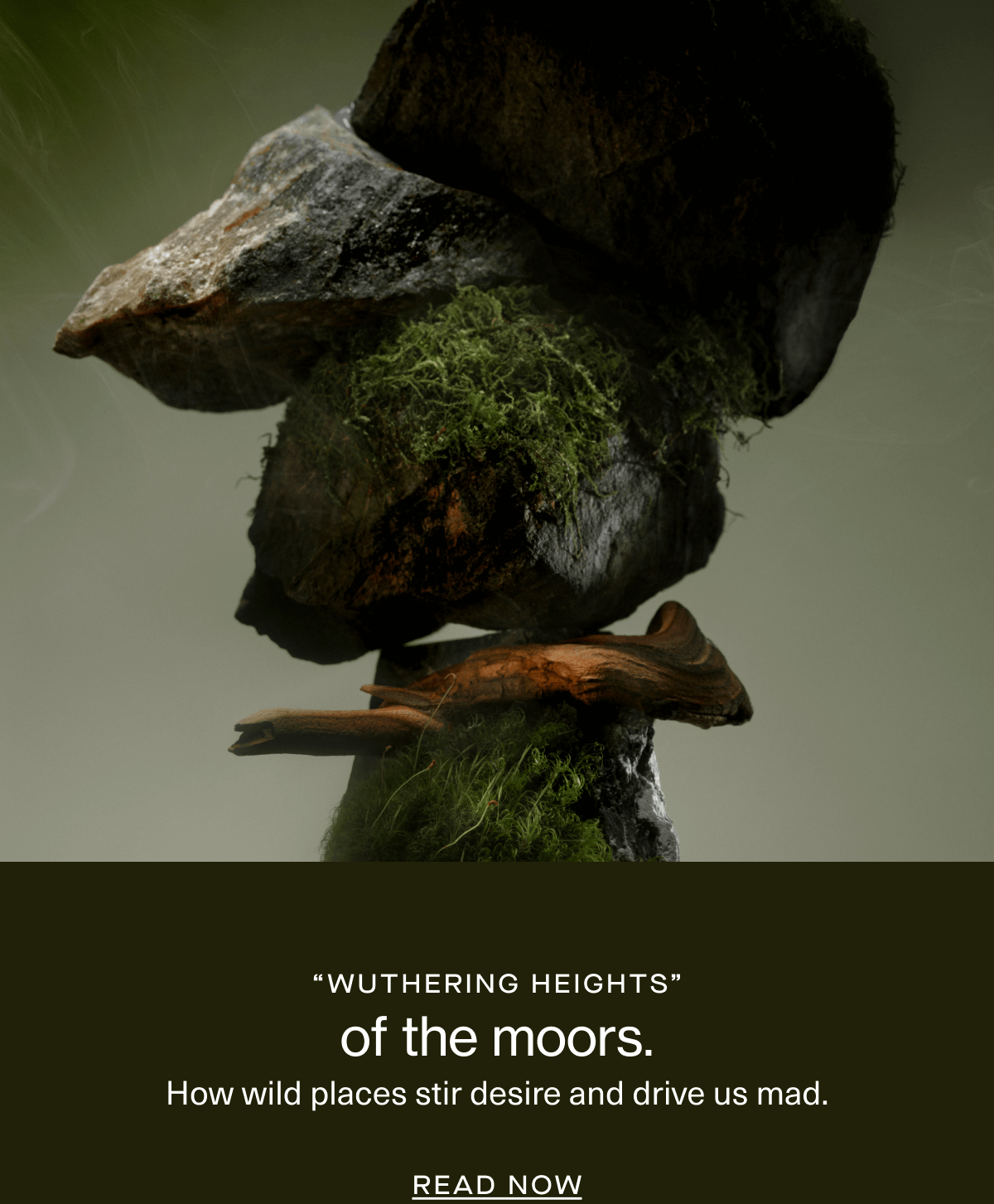 “wuthering heights” | of the moors. | How wild places stir desire and drive us mad. | Read Now 