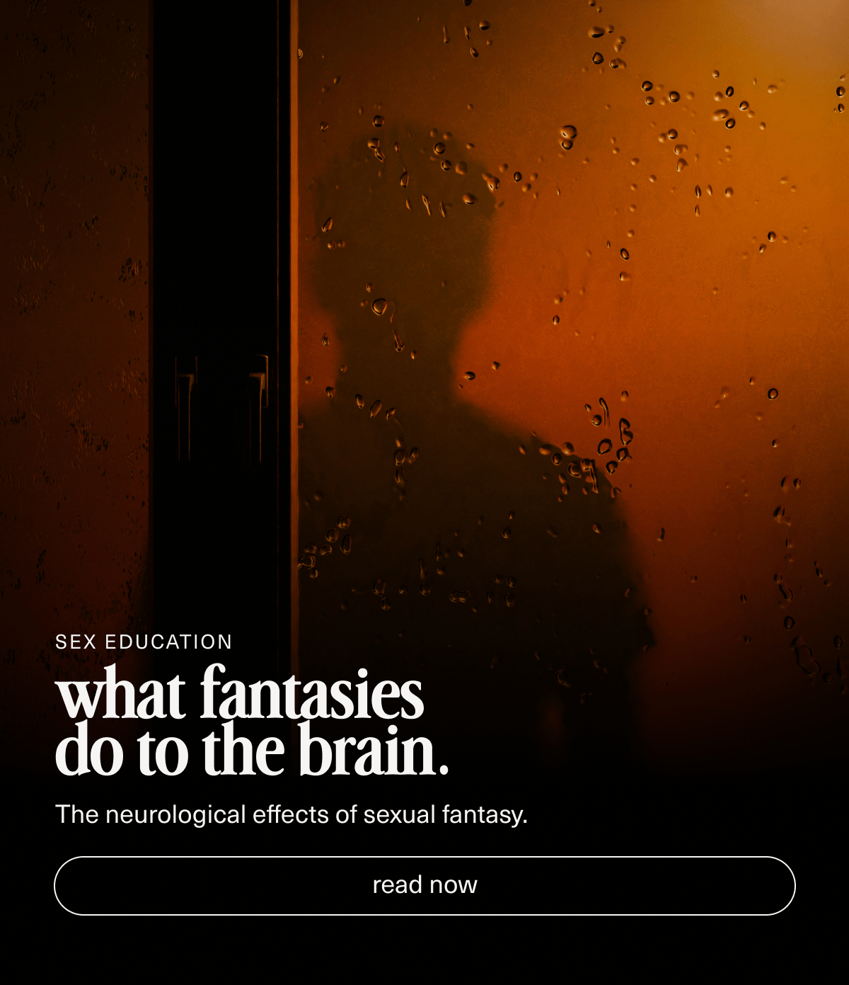 Sex Education | what fantasies do to the brain. | The neurological effects of sexual fantasy. | [ read now ]