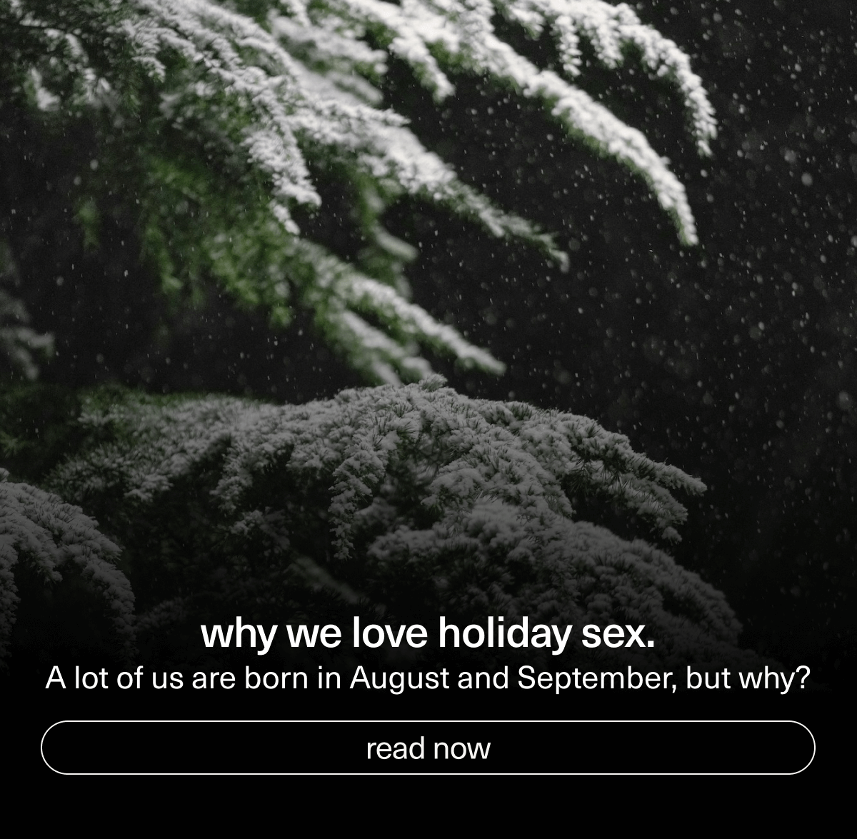 why we love holiday sex. | A lot of us are born in August and September, but why? | [ read now ]