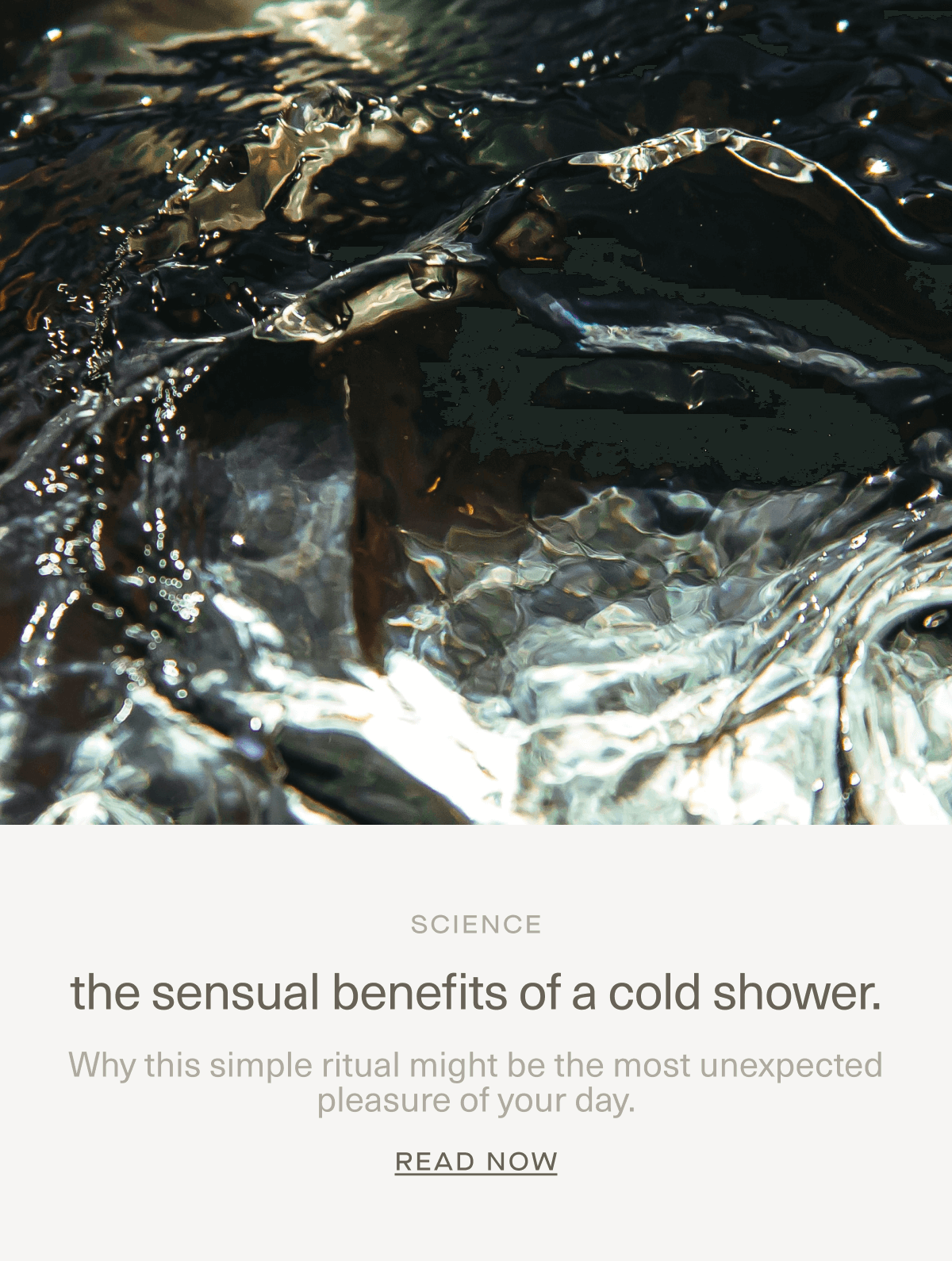 SCIENCE | the sensual benefits of a cold shower. | Why this simple ritual might be the most unexpected pleasure of your day. | Read Now SCIENCE | the sensual benefits of a cold shower. | Why this simple ritual might be the most unexpected pleasure of your day. | Read Now