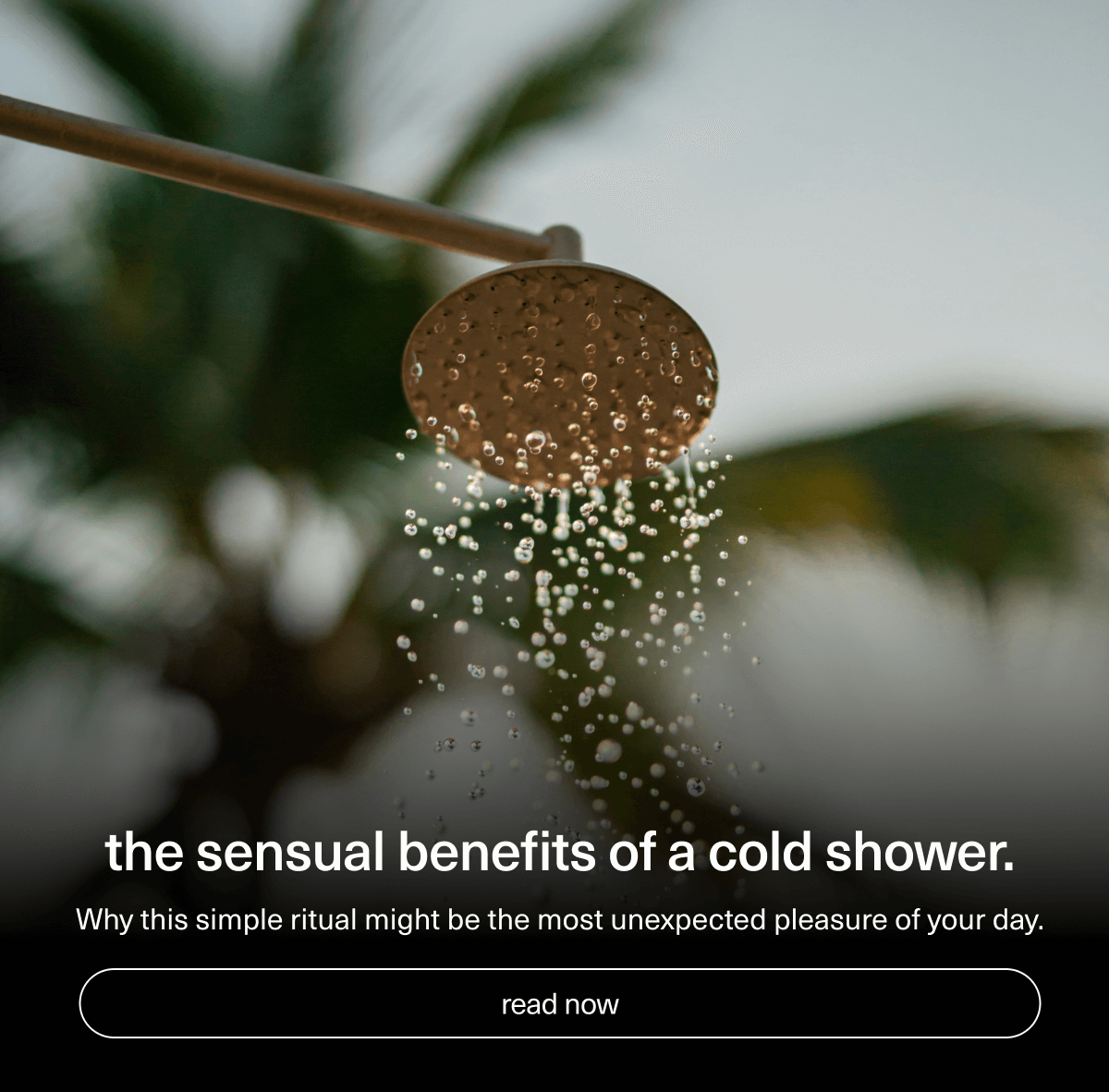 the sensual benefits of a cold shower. | Why this simple ritual might be the most unexpected pleasure of your day. | [ read now ]