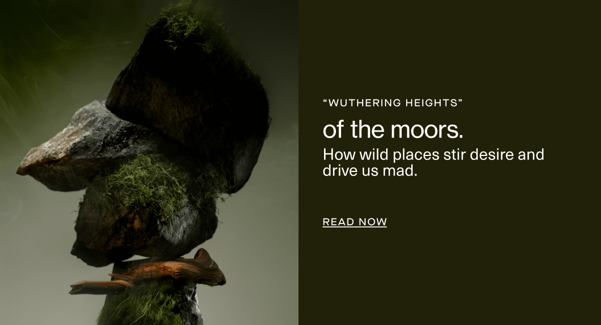 “wuthering heights” | of the moors. | How wild places stir desire and drive us mad. | Read Now 
