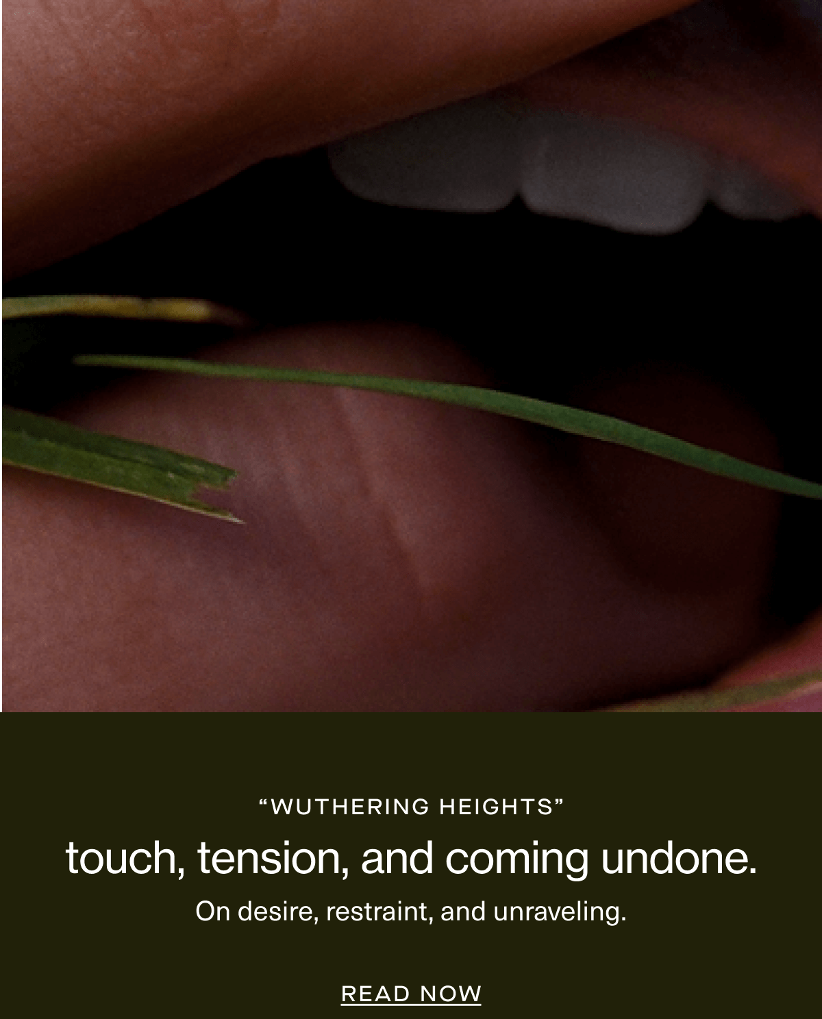 “wuthering heights” | touch, tension, and coming undone. | On desire, restraint, and unraveling. | Read Now 