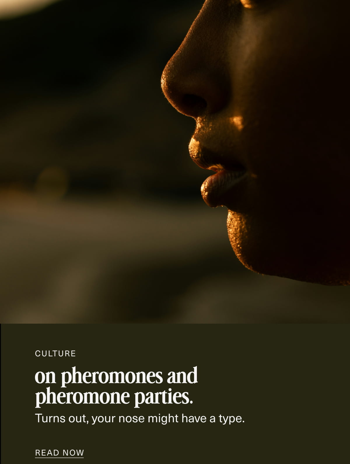 Culture | on pheromones and pheromone parties. | Turns out, your nose might have a type. | READ NOW