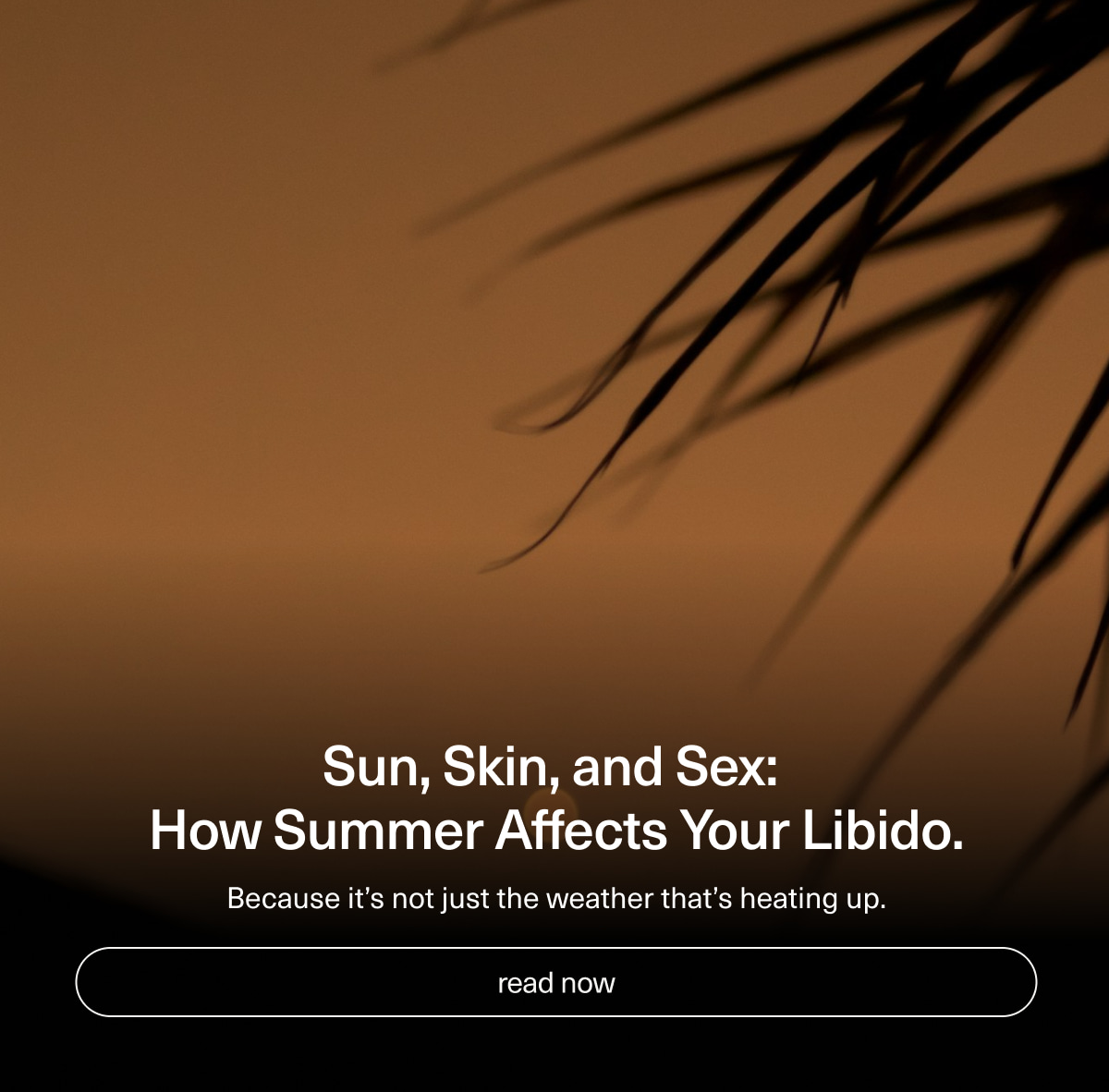 Sun, Skin, and Sex: How Summer Affects Your Libido. | Because it’s not just the weather that’s heating up. | [ read now ]