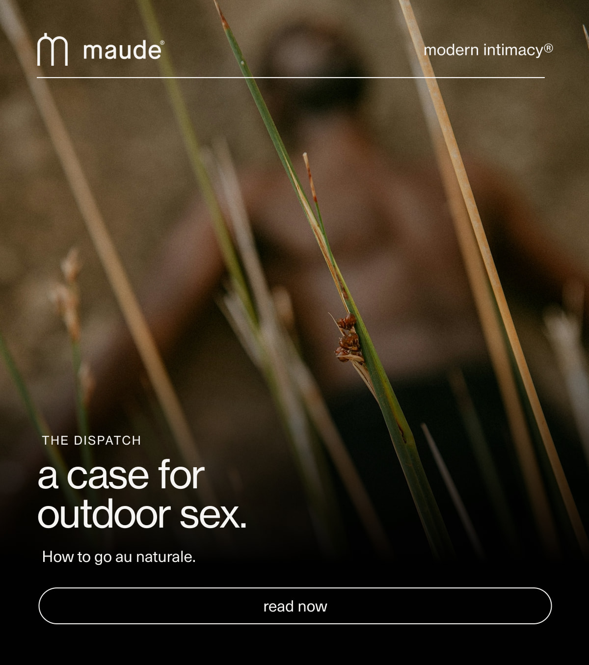 maude | modern intimacy | The Dispatch | a case for outdoor sex. | How to go au naturale. | [ read now ]