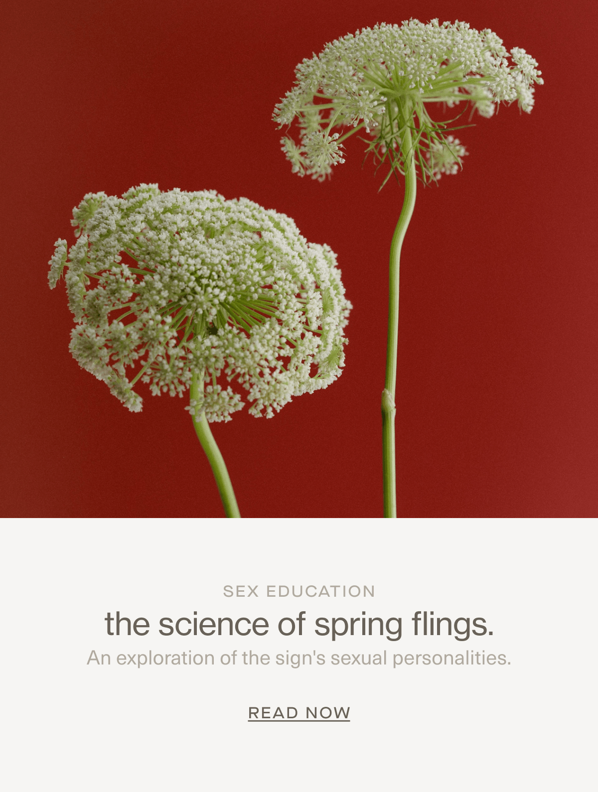 Sex Education | the science of spring flings. | An exploration of the sign's sexual personalities. | READ NOW