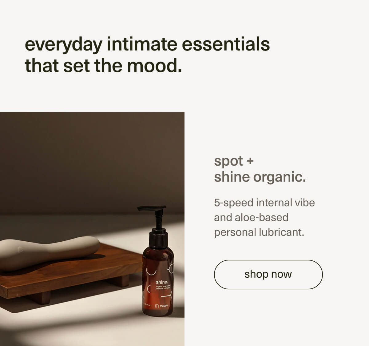everyday intimate essentials that set the mood. | spot + shine organic. | 5-speed internal vibe and aloe-based personal lubricant. | [ shop now ]