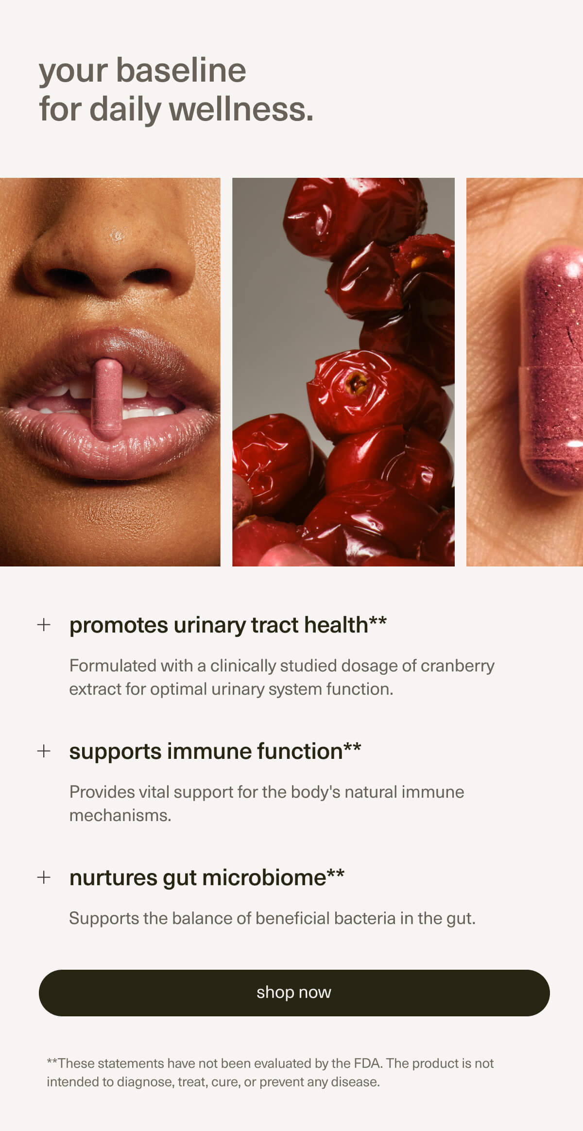 your baseline for daily wellness. | promotes urinary tract health** | Formulated with a clinically studied dosage of cranberry extract for optimal urinary system function. | supports immune function** | Provides vital support for the body's natural immune mechanisms. | nurtures gut microbiome** | Supports the balance of beneficial bacteria in the gut. | [ shop now ] | **These statements have not been evaluated by the FDA. The product is not intended to diagnose, treat, cure, or prevent any disease.