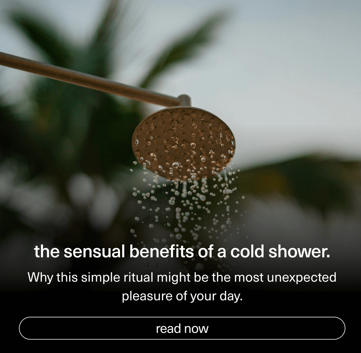 the sensual benefits of a cold shower. | Why this simple ritual might be the most unexpected pleasure of your day. | [ read now ]