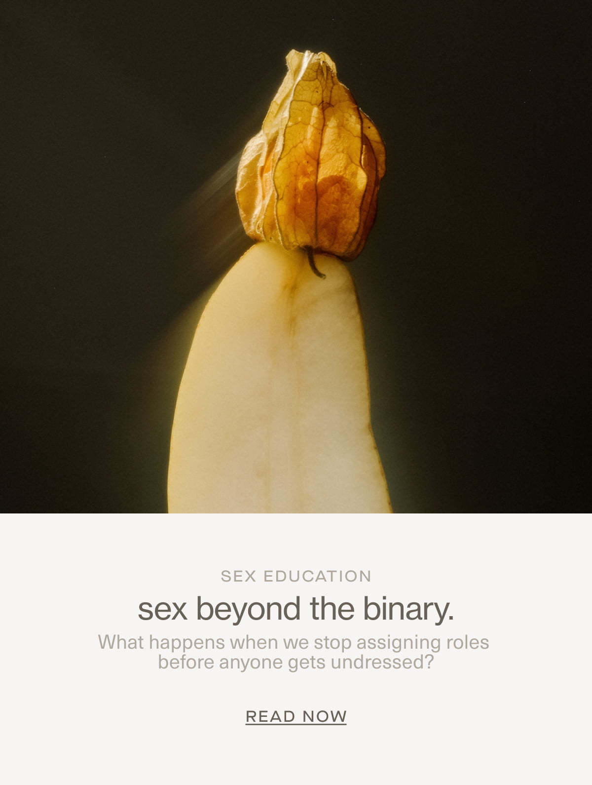 Sex Education | sex beyond the binary. | What happens when we stop assigning roles before anyone gets undressed? | READ NOW