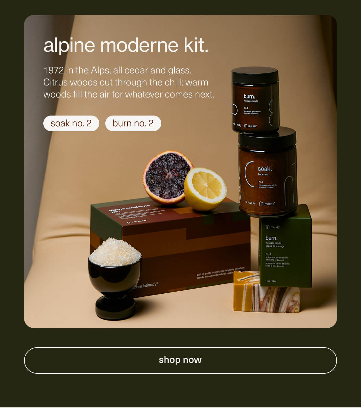 alpine moderne kit. | 1972 in the Alps, all cedar and glass. Citrus woods cut through the chill; warm woods fill the air for whatever comes next. | soak no. 2 | burn no. 2 | [ shop now ]