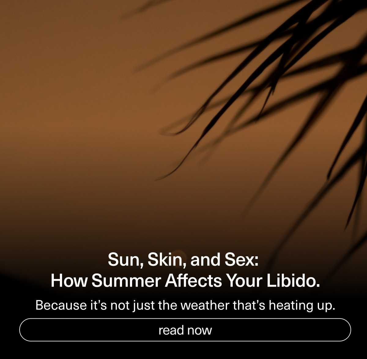 Sun, Skin, and Sex: How Summer Affects Your Libido. | Because it’s not just the weather that’s heating up. | [ read now ]