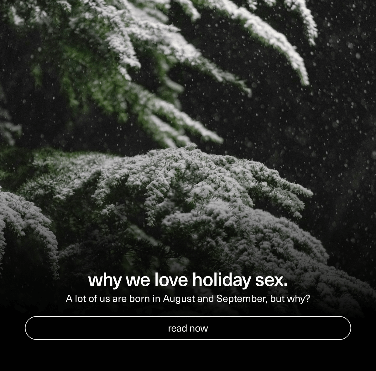 why we love holiday sex. | A lot of us are born in August and September, but why? | [ read now ]