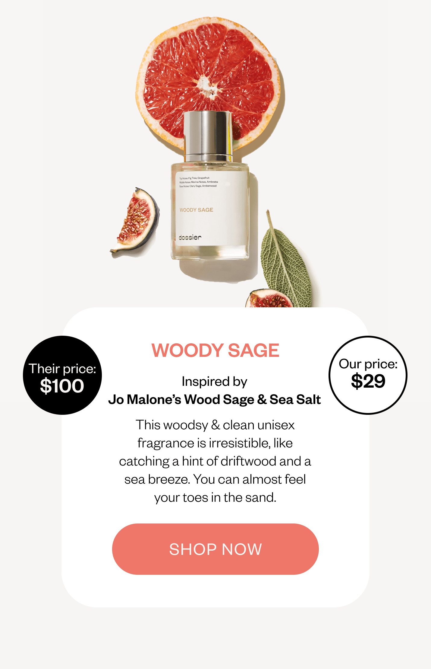 Instant beach getaway inside 🌴 Dossier