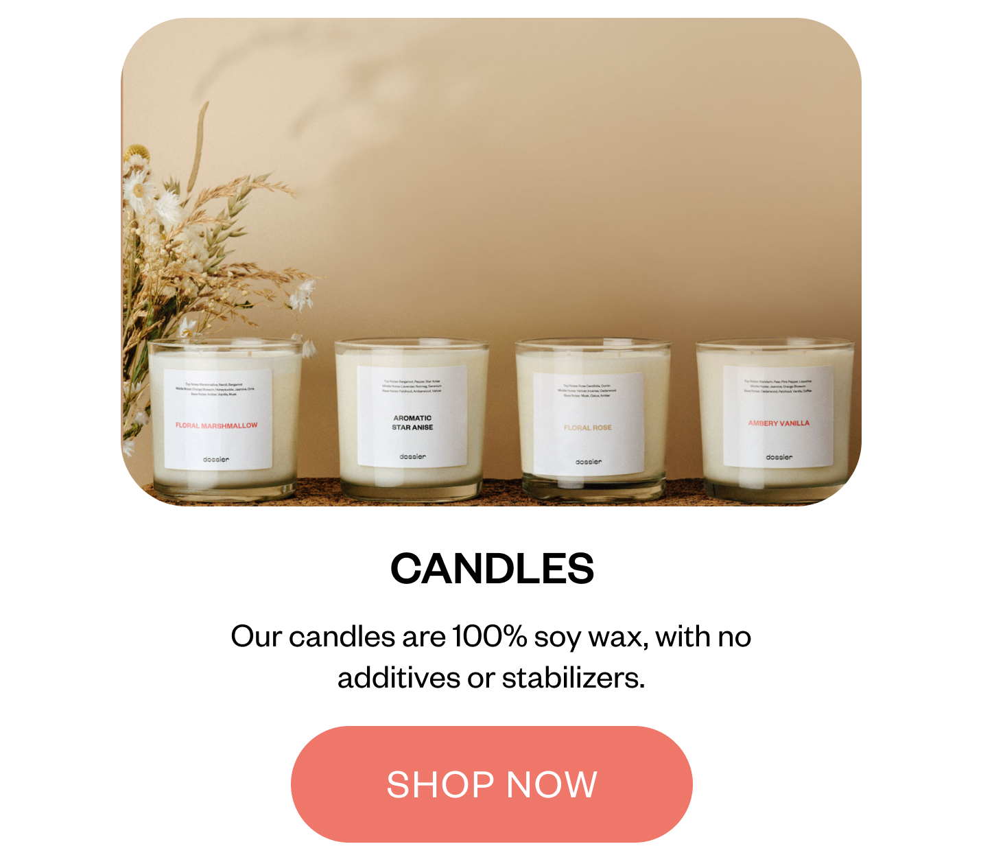 Ready for more scents to explore? 🔎 Dossier