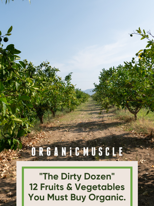 The Dirty Dozen...12 Fruits & Vegetables You Must... Organic Muscle