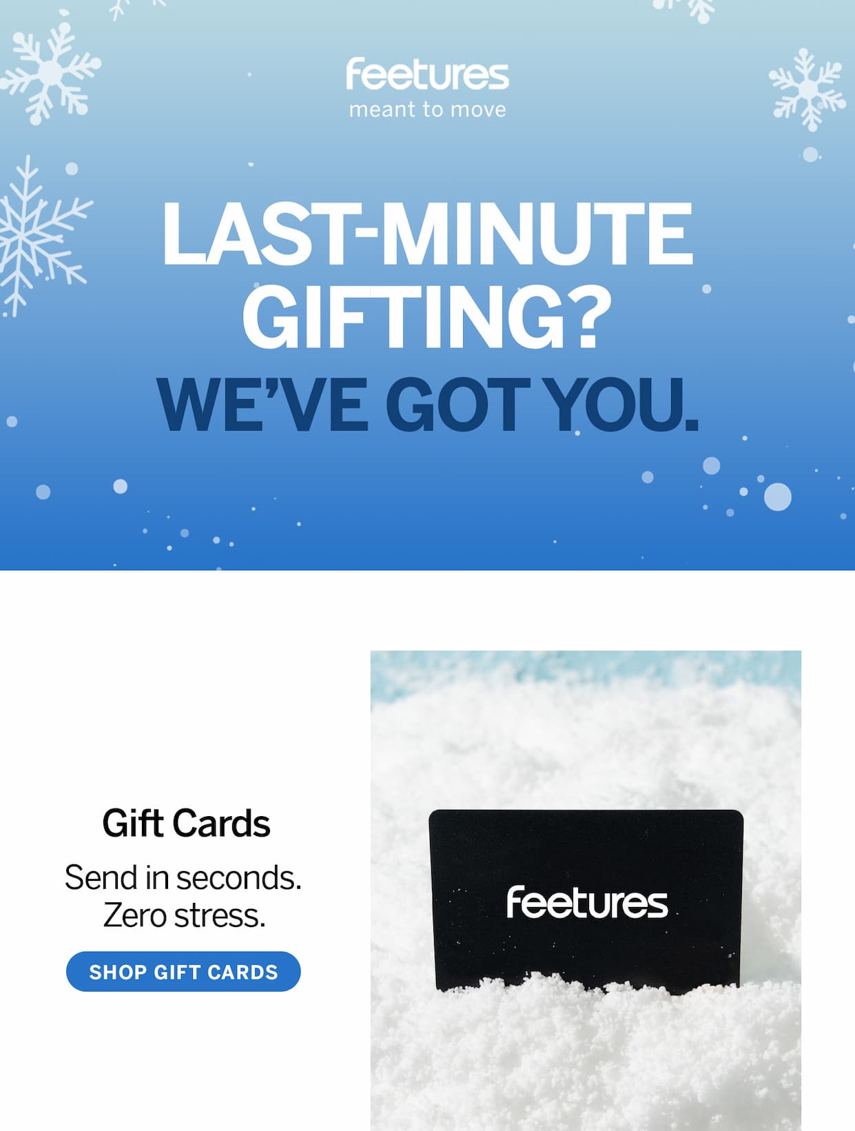 Blue background with white snowflakes. Text "Last-minute gifting? We've got you."