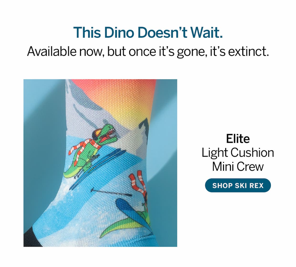 Up close view of the Ski Rex sock