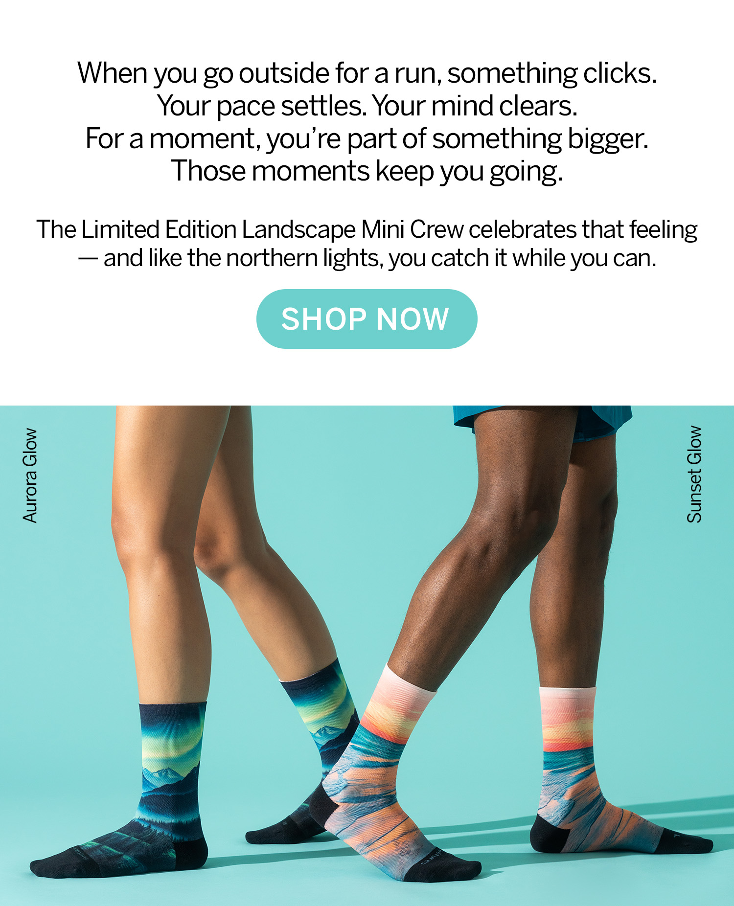 Shop New Landscape Mini Crew