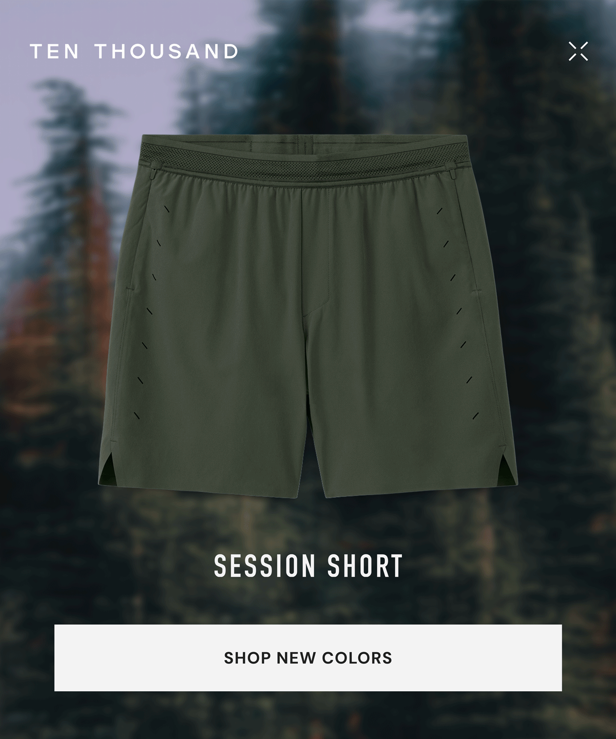 SESSION SHORT SHOP NEW COLORS SESSION SHORT SHOP NEW COLORS