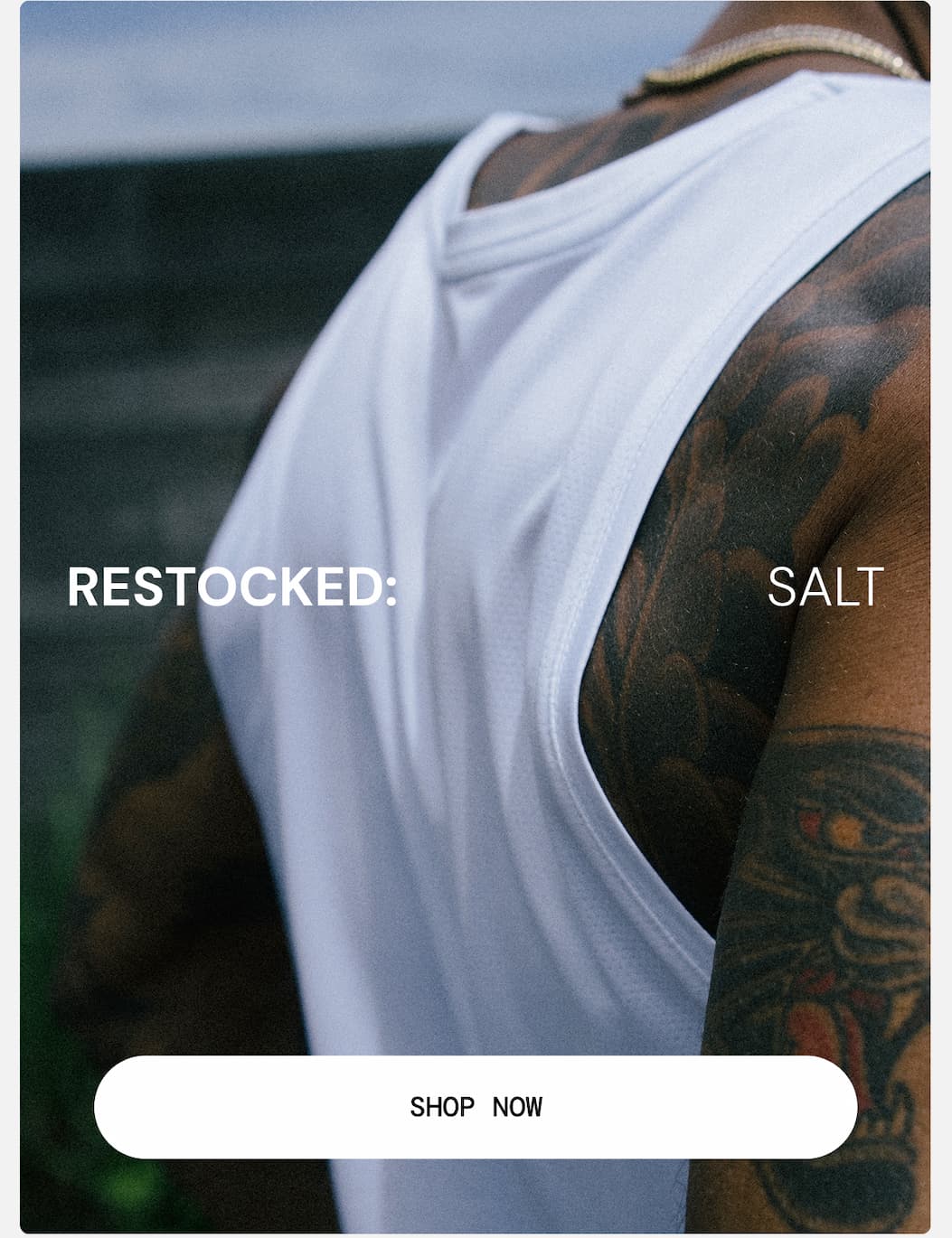 Restocked: Performance Staples in Salt White