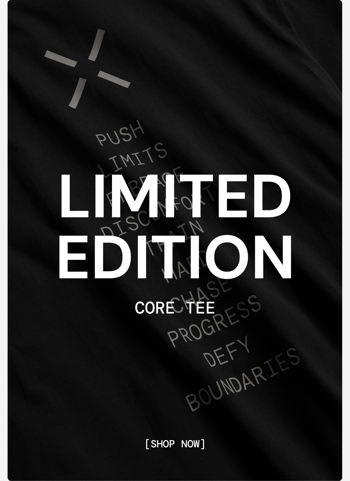Shop Limited Edition Core Tees - 100% Heavyweight Cotton