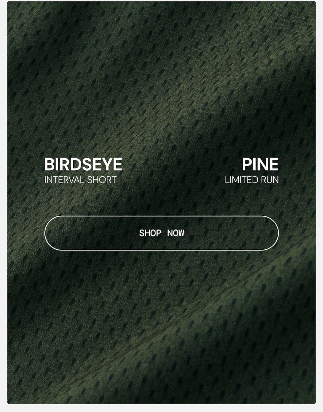 Limited Run: Birdseye Pine Print in Interval Gym Short