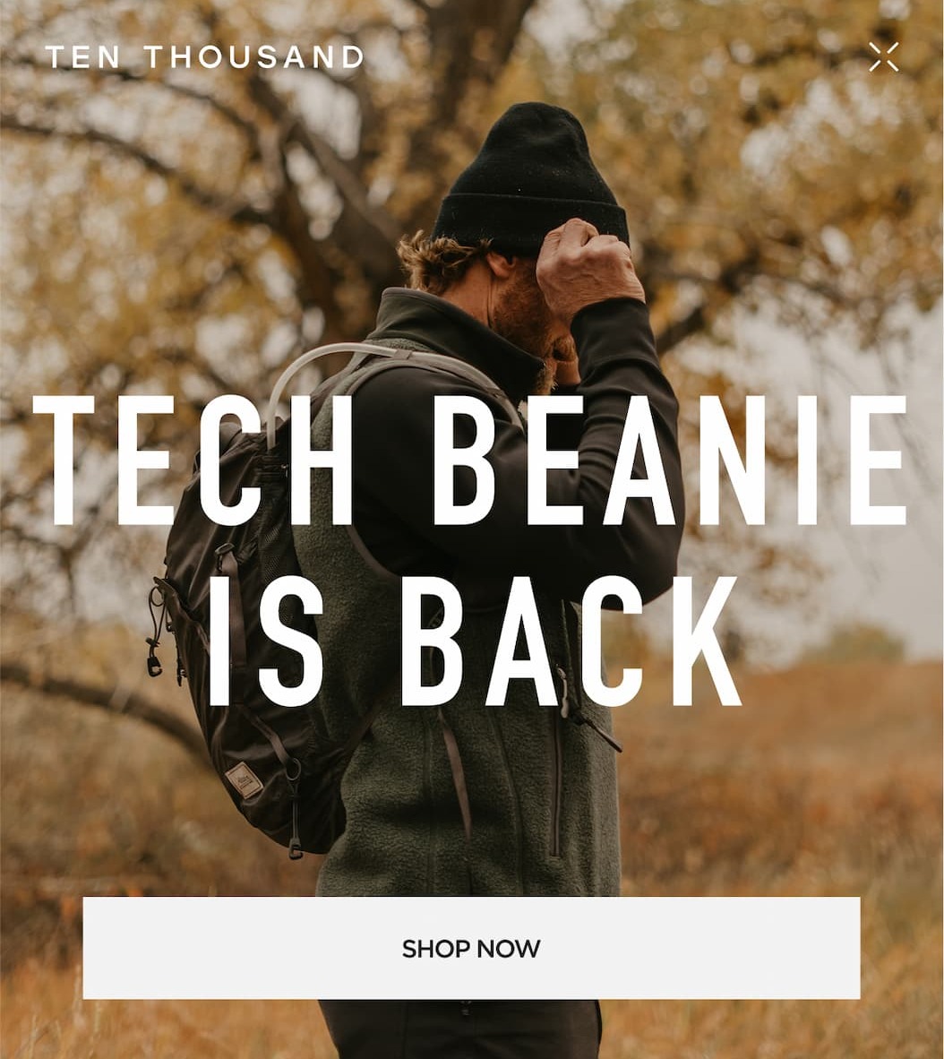 TECH BEANI IS BACK TECH BEANI IS BACK