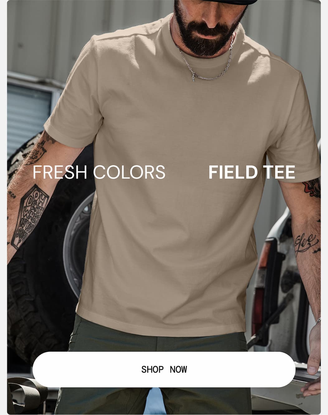 Fresh Colors: 100% Cotton Field Tee