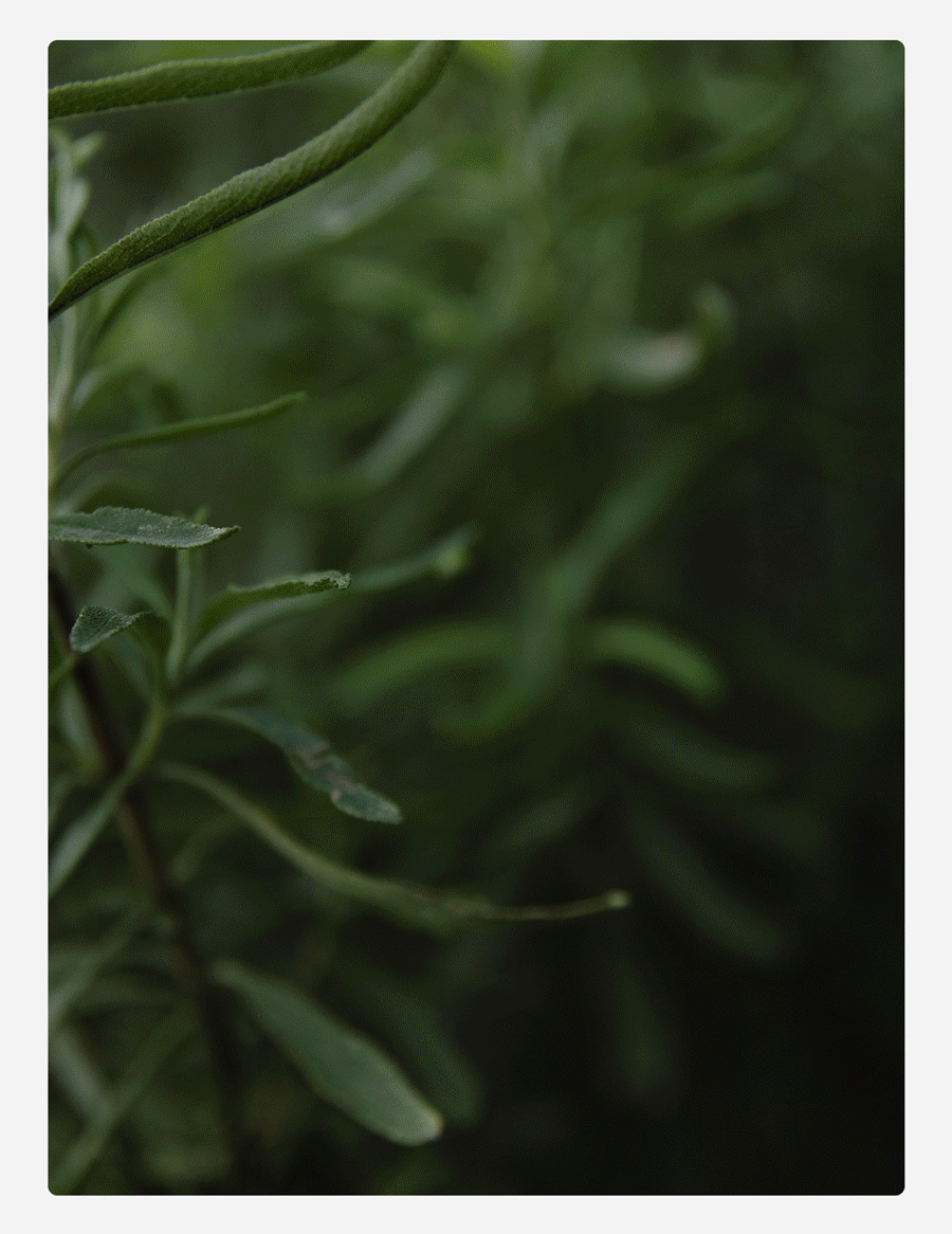 Ten Thousand: Lined Interval Gym Short were recently restocked in core Colors. Shop our #1 bestselling workout short now