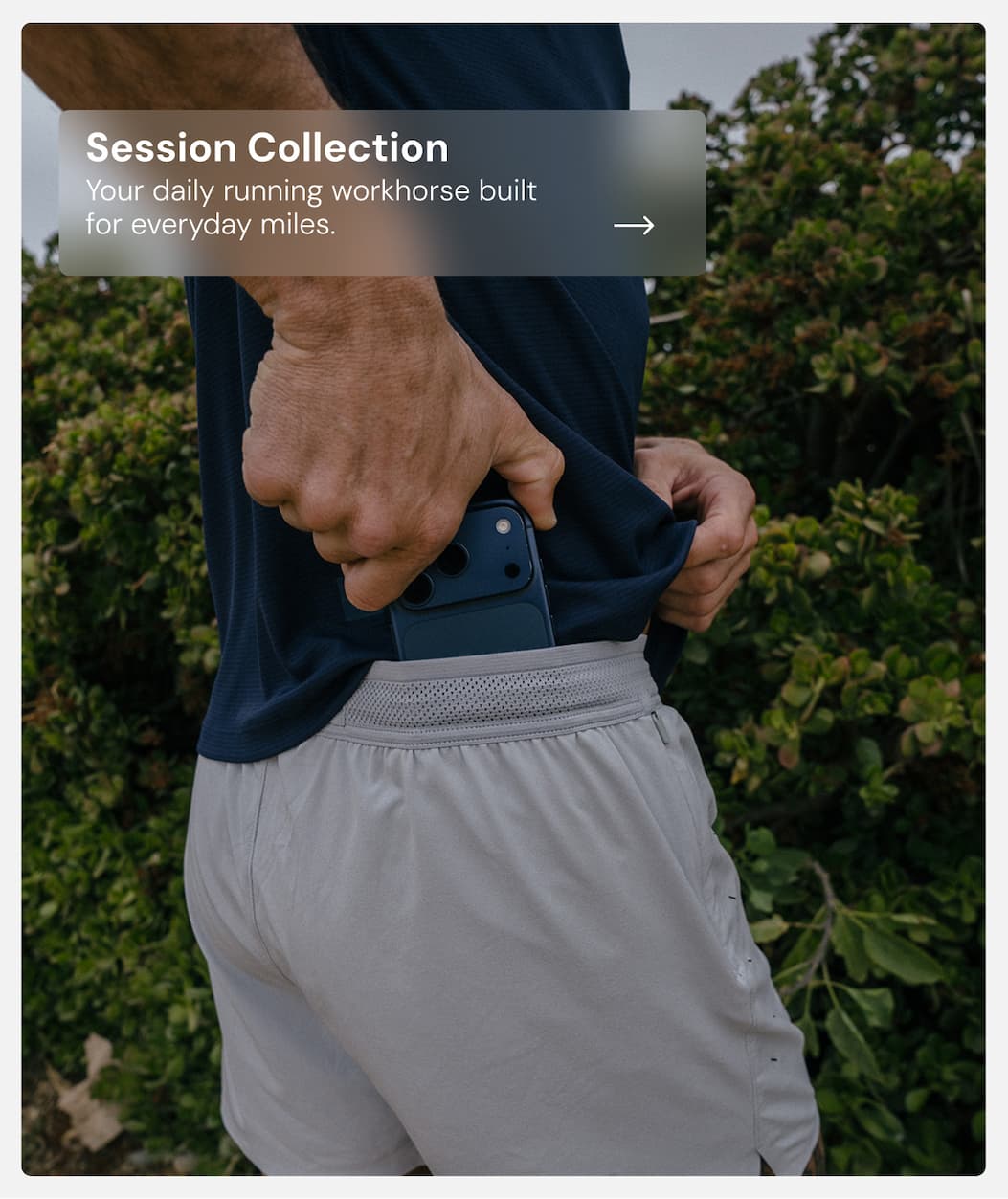 Session Collection