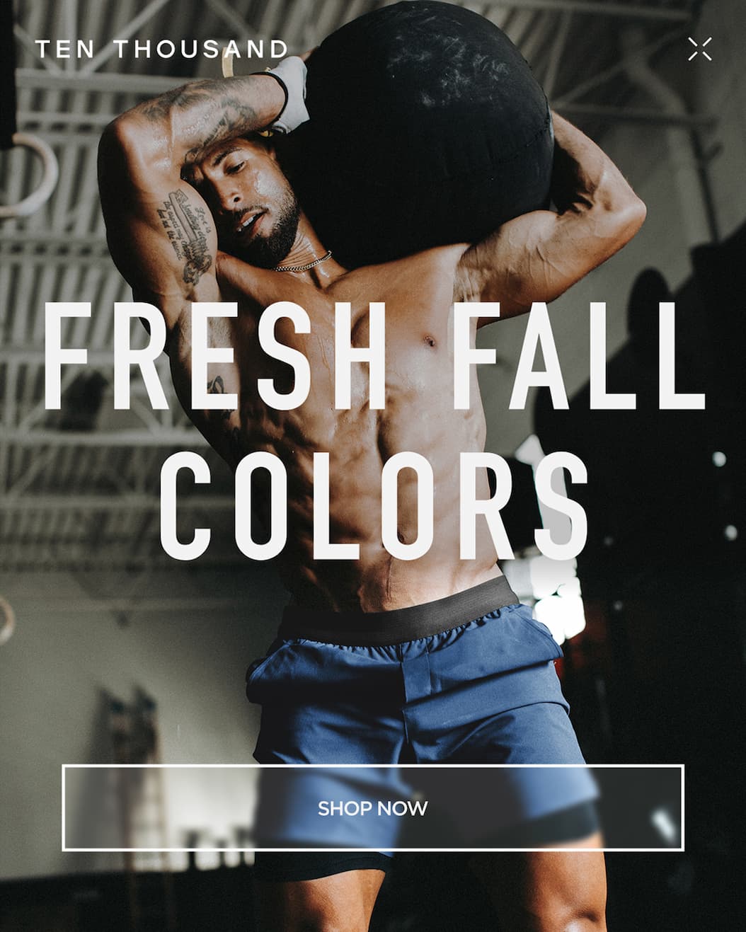 Shop New Arrivals