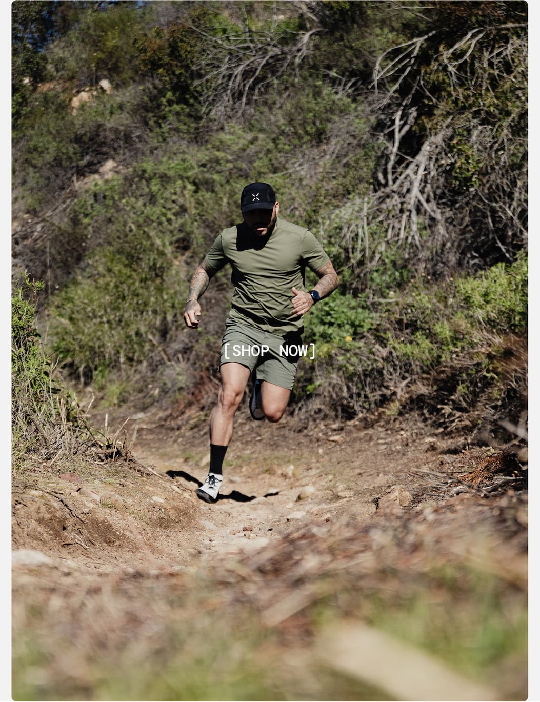 Active Image: OD Green Collection