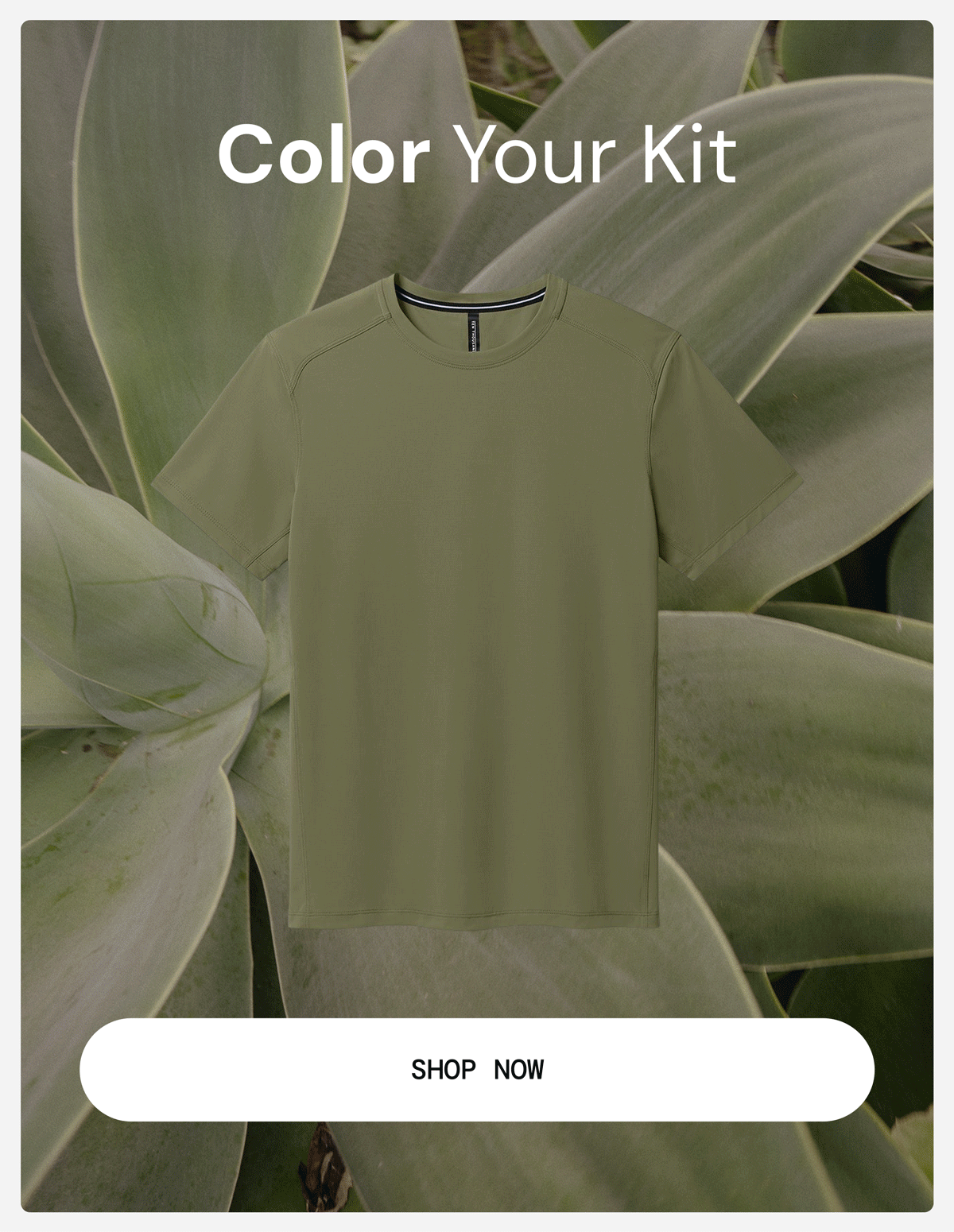 Gif: Color Your Kit