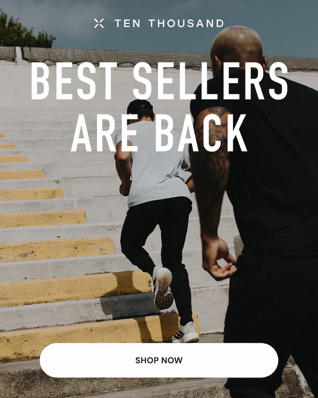 Best Sellers are Back in Stock