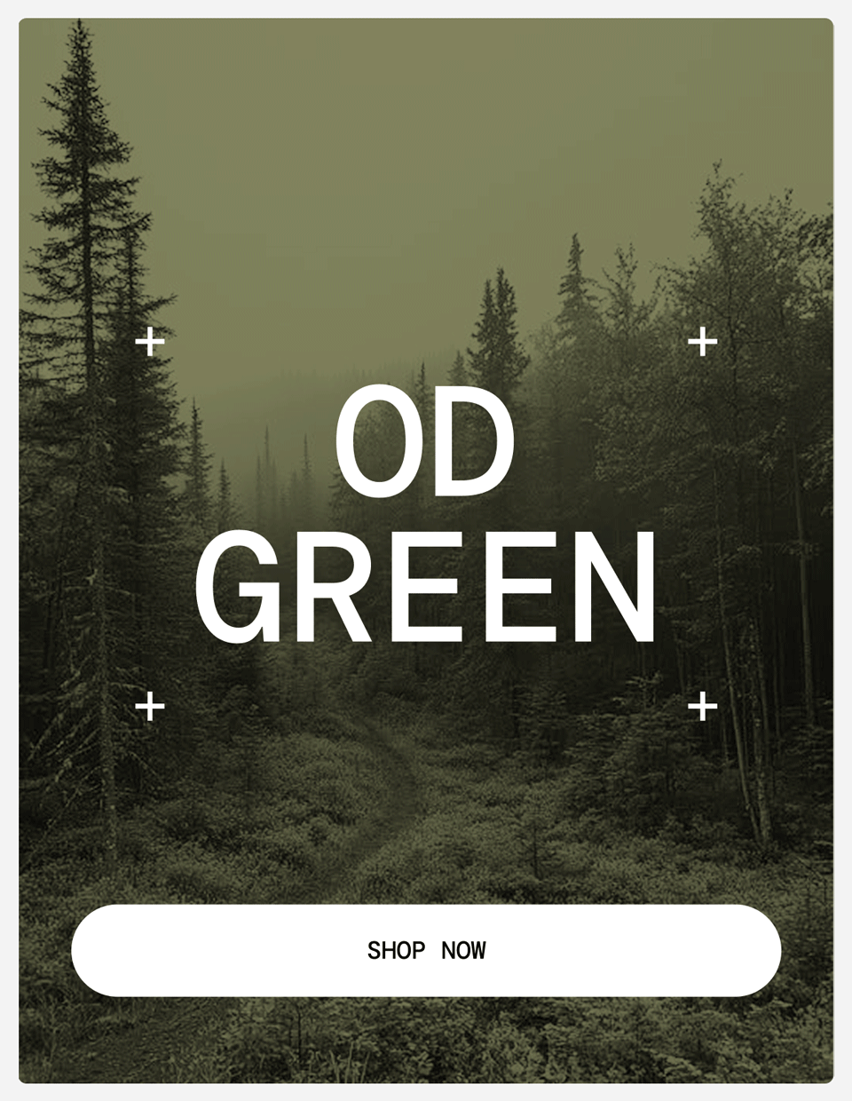 Gif: OD Green Collection