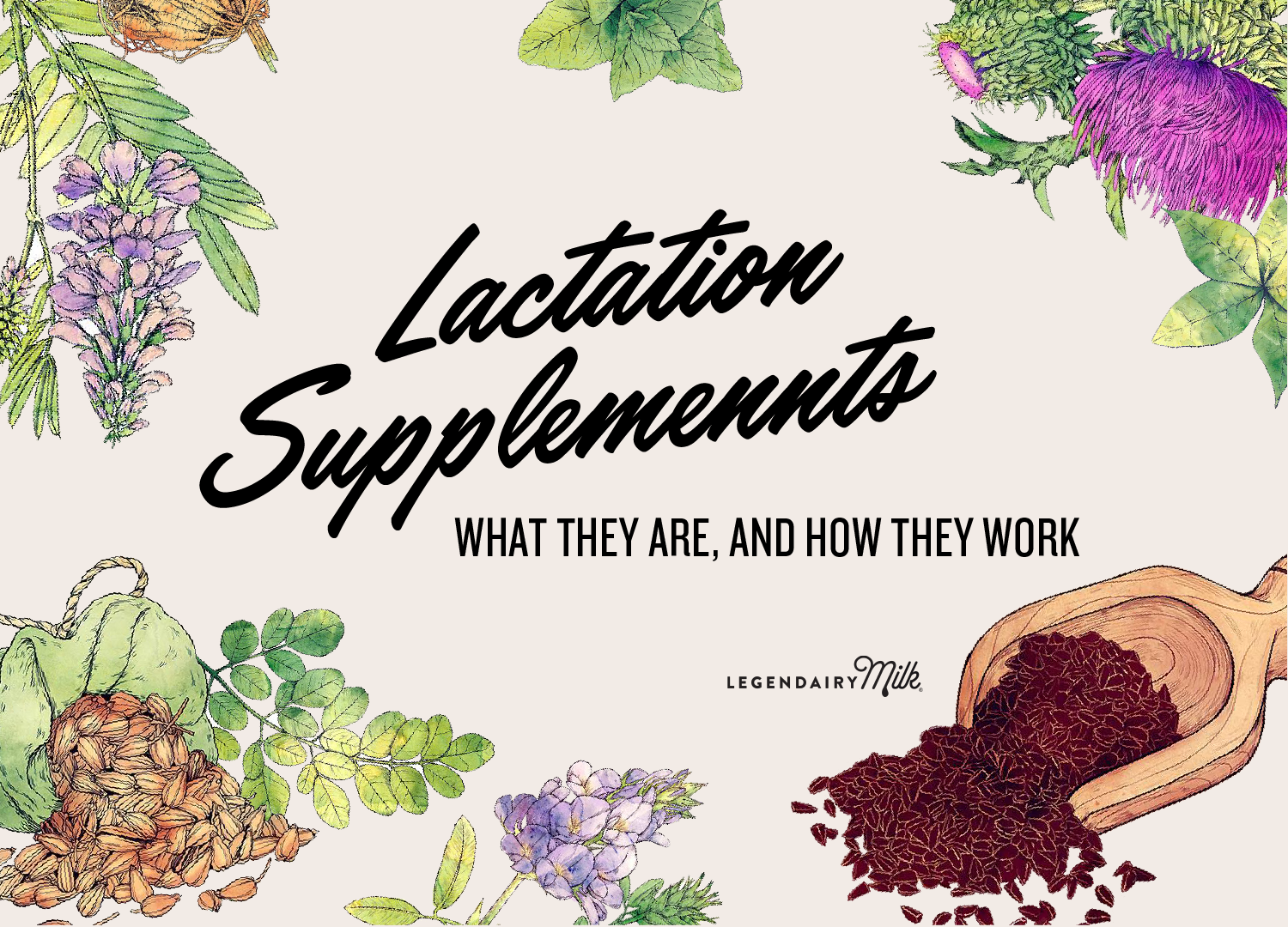 What ARE Lactation Supplements?🤔 Legendairy Milk