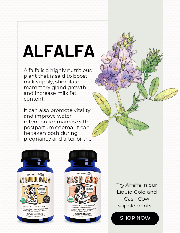 Did you know the postpartum health benefits of Alfalfa? Legendairy Milk