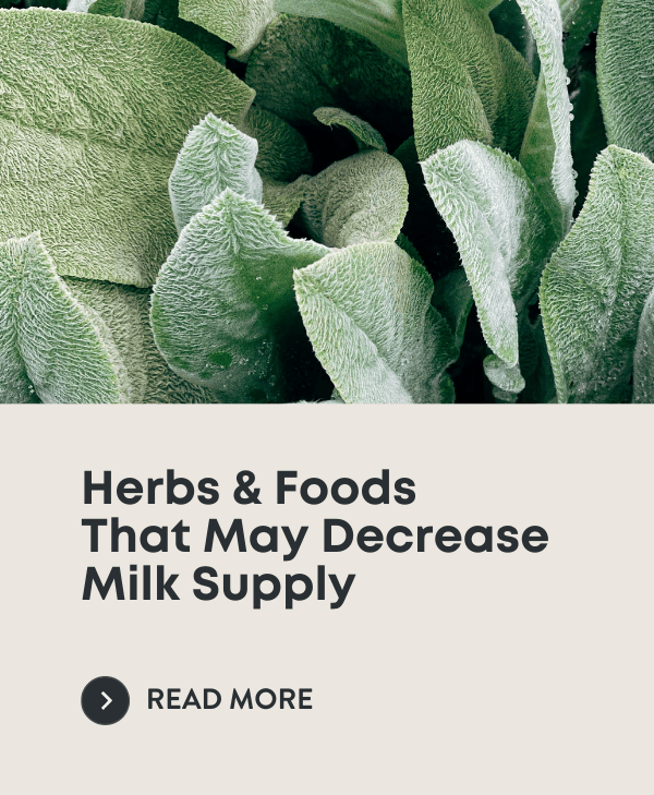 Foods & Herbs That May Decrease Supply Legendairy Milk