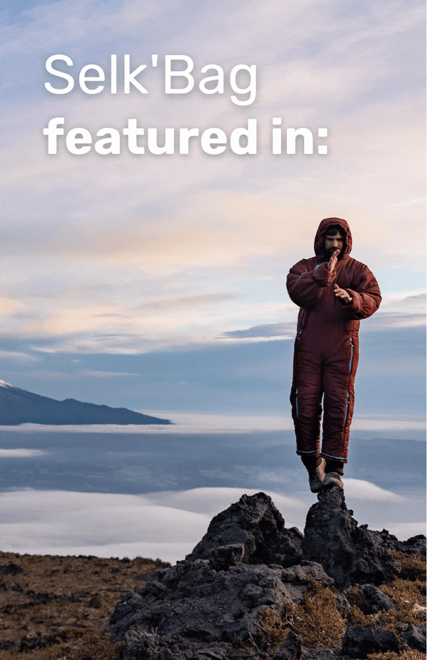 Here's why The New York Times is obsessed Selk Bag