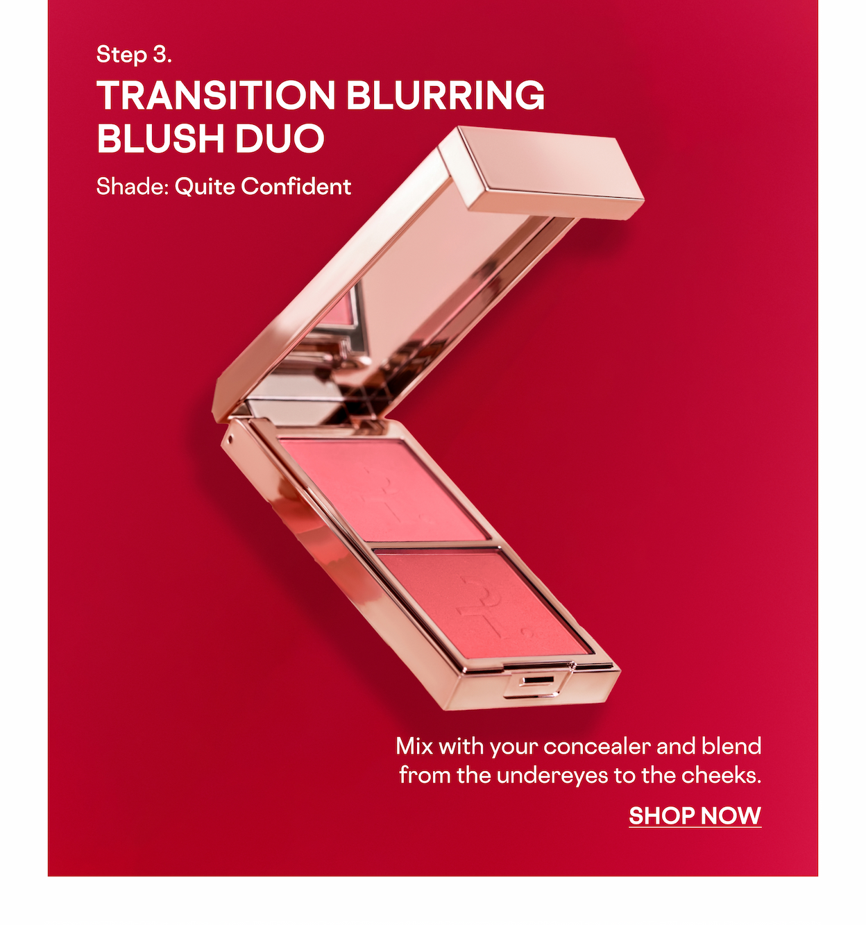 TRANSITION BLURRING BLUSH DUO