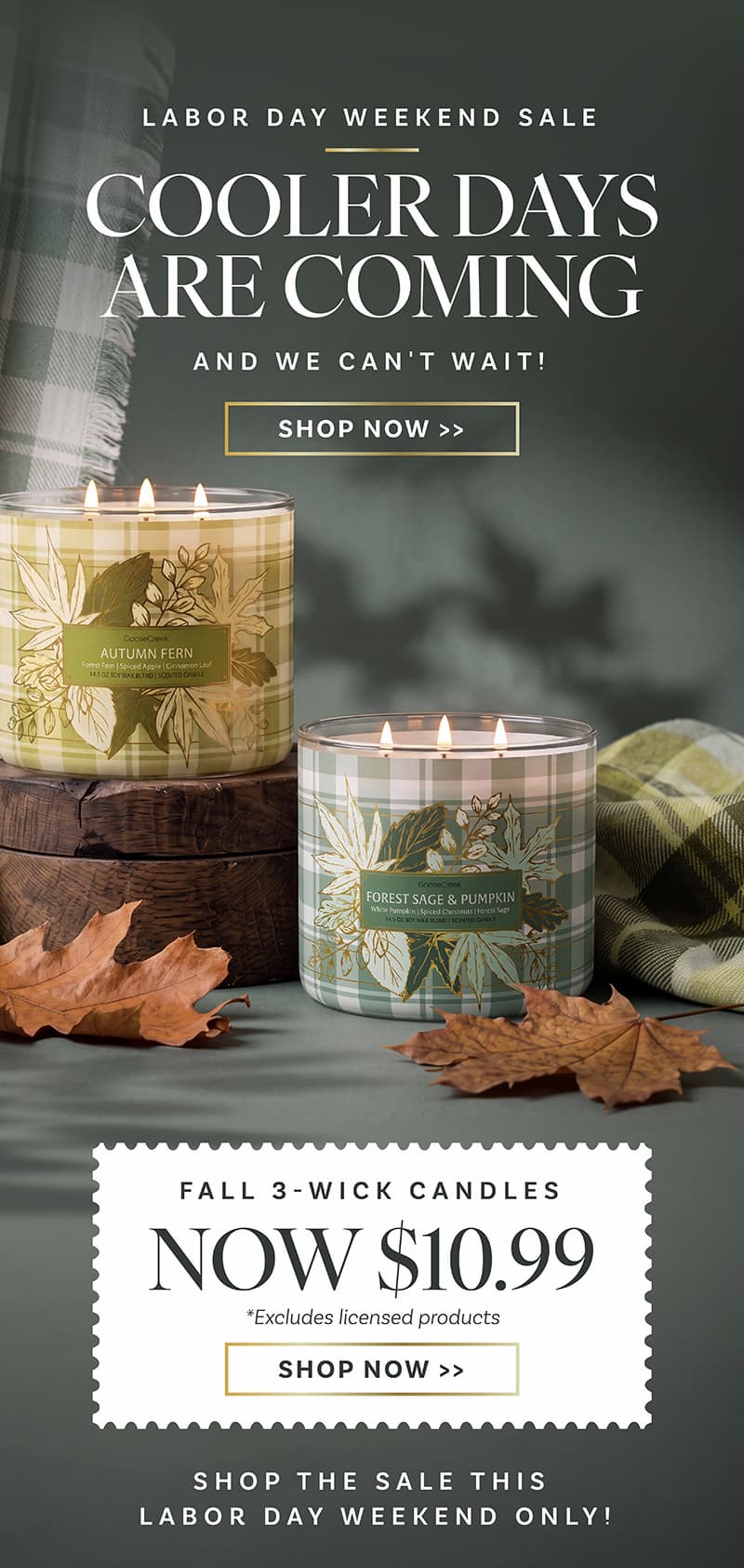 Fall Candle collection