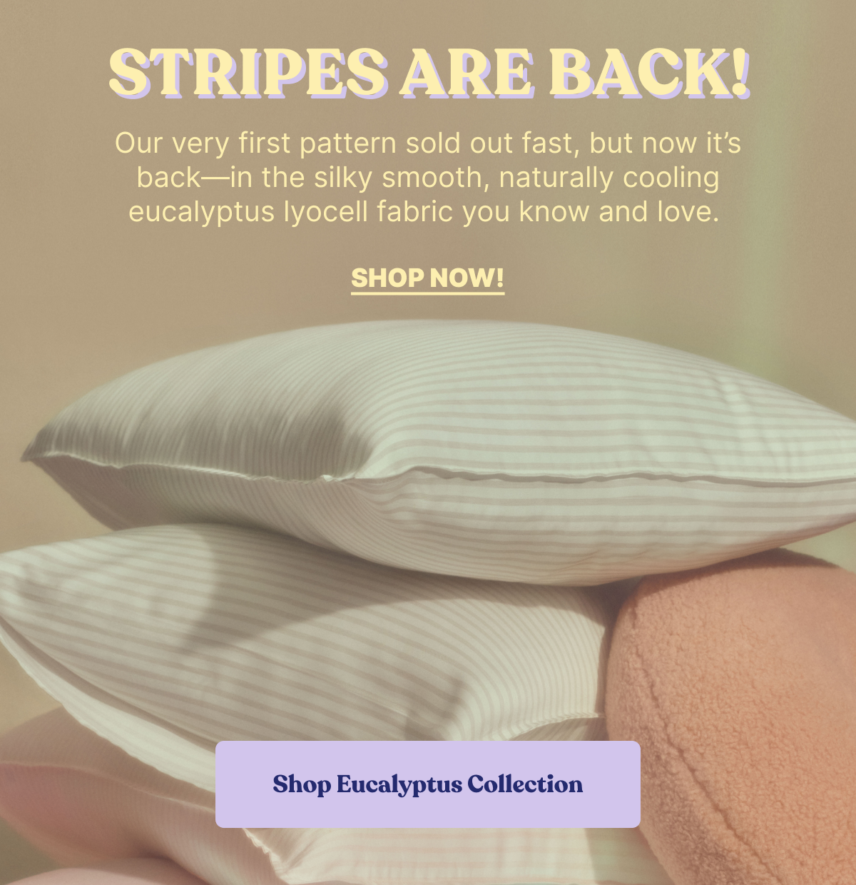 Stripes are back!