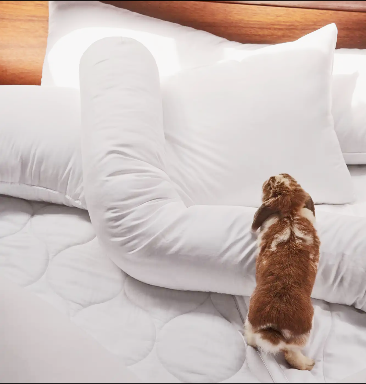 Wiggle Pillow