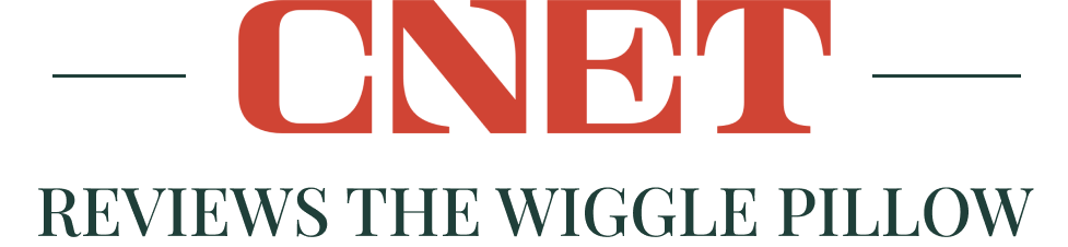 CNET reviews the Wiggle Pillow