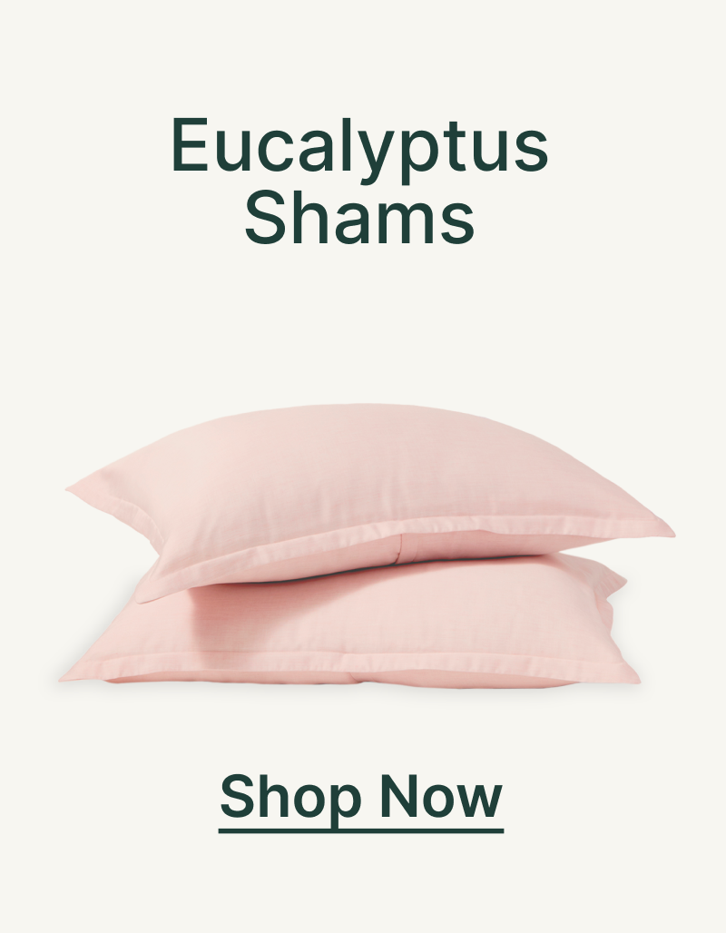 Eucalyptus Shams